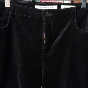Black velvet pants